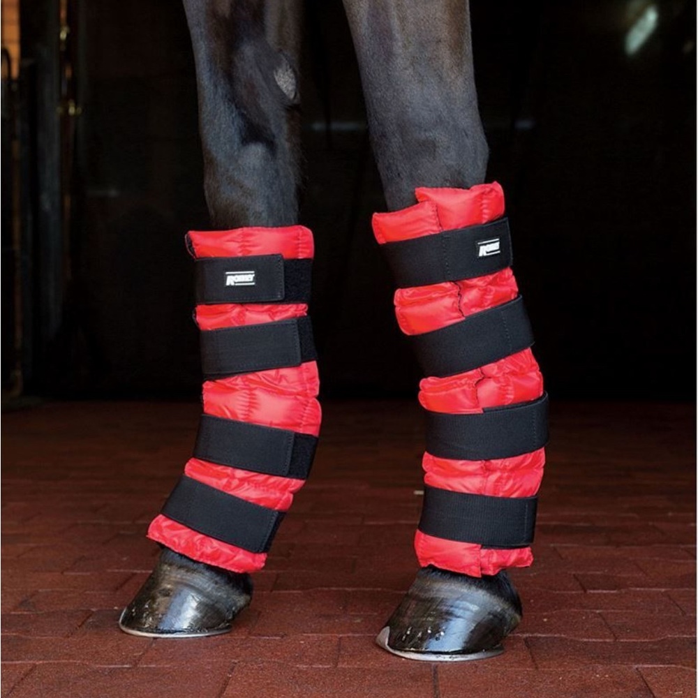 Pair of Roma Horse Ice Boots